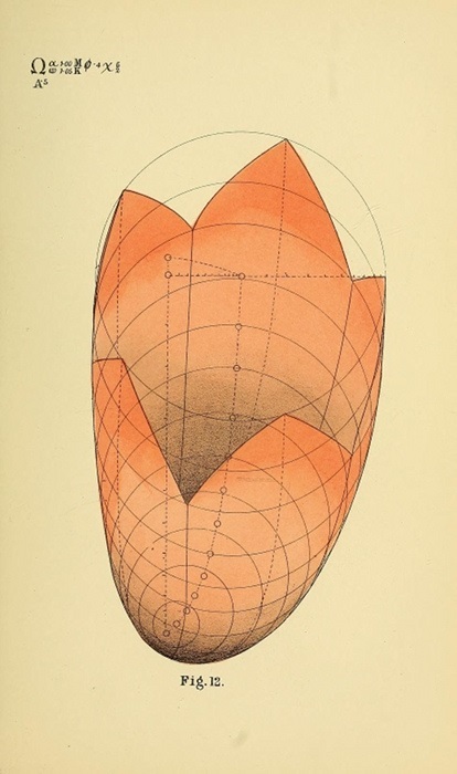 Geometry pszichológia - Benjamin Betts