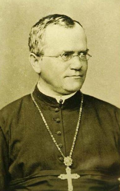 Gregor Mendel - alapító genetika (alapítója genetika Gregor Mendel Mendel miért tartják az alapító a genetika) Gregor Mendel - alapító genetika