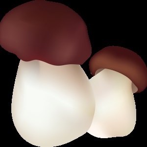 Gomba - gyűjteménye képek, nachalochka (Amanita szép kép a gyermekek számára) Gomba - gyűjteménye képek, nachalochka