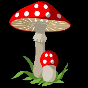 Gomba - gyűjteménye képek, nachalochka (Képek gyerekeknek gomba) Gomba - gyűjteménye képek, nachalochka