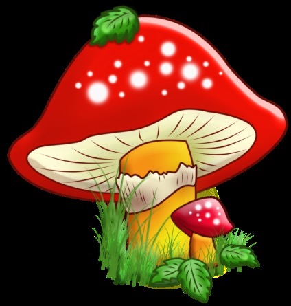 Gomba - gyűjteménye képek, nachalochka (kép) Gomba - gyűjteménye képek, nachalochka