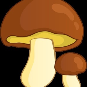 Gomba - gyűjteménye képek, nachalochka (Amanita szép kép a gyermekek számára) Gomba - gyűjteménye képek, nachalochka