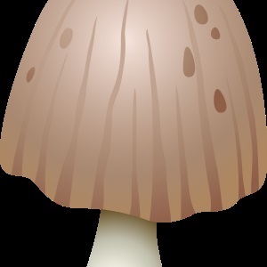 Gomba - gyűjteménye képek, nachalochka (Amanita szép kép a gyermekek számára) Gomba - gyűjteménye képek, nachalochka