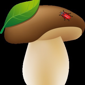 Gomba - gyűjteménye képek, nachalochka (Képek gyerekeknek gomba) Gomba - gyűjteménye képek, nachalochka