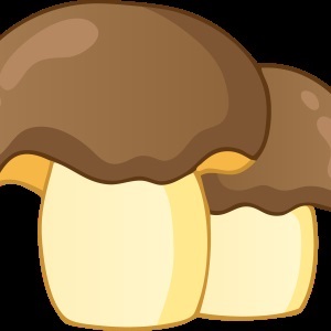 Gomba - gyűjteménye képek, nachalochka (Képek gyerekeknek gomba) Gomba - gyűjteménye képek, nachalochka