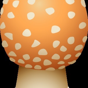 Gomba - gyűjteménye képek, nachalochka (ehető gombák + kép) Gomba - gyűjteménye képek, nachalochka