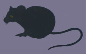 Fertőző betegségek által hordozott egerek, a Moszkva Gazette fertőtlenítés