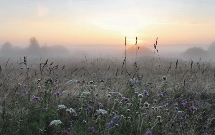 Milyen gyorsan a hideg időjárás