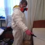 Mit betegségeket lehet továbbítani egerekből származó (fertőzött) Milyen betegségeket lehet továbbítani az egerek