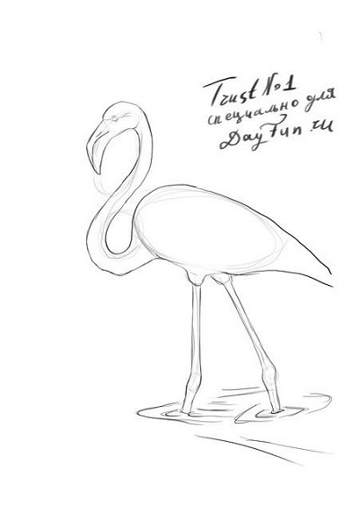 Hogyan kell felhívni flamingo-, hogyan kell tanulni, hogy dolgozzon