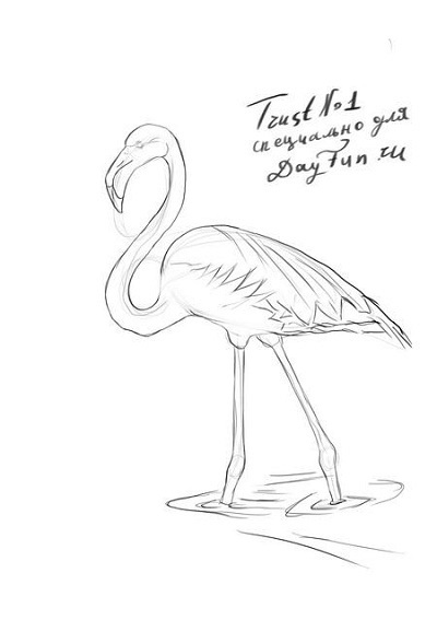 Hogyan kell felhívni flamingo-, hogyan kell tanulni, hogy dolgozzon