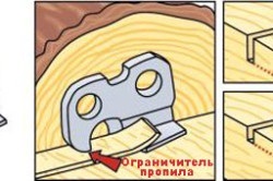 Hogyan élesíteni láncfűrész egy fájlt, hogy a szabály élező (élezés) Hogyan élesíteni láncfűrész élező egy fájlt, hogy a szabály