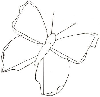 Hogyan kell felhívni a pillangó, pillangó ceruzarajz