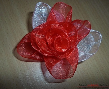 Hogyan készítsünk egy szép és eredeti rózsa organza a kezüket, mint a rozetta lehet