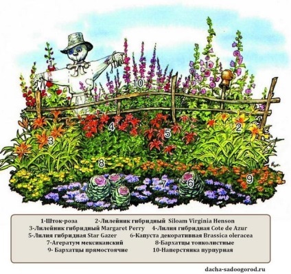 Hogyan készítsünk egy madárijesztő a kertben saját kezűleg, ház, kert, konyhakert és elővárosi életet (hogyan lehet a madárijesztő) Hogyan készítsünk egy madárijesztő a kertben saját kezűleg, ház, kert, konyhakert és elővárosi életet