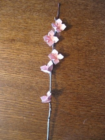 Hogyan készítsünk egy virág papírból kezeddel liliom, szegfű és a japán Sakura