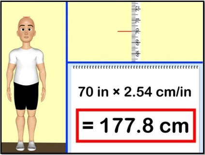 Hogyan lehet felgyorsítani az anyagcserét, hogyan lehet jobban Part 1 Theory