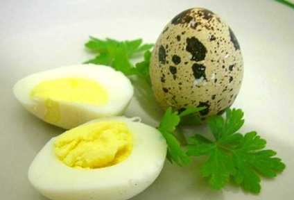 Hogyan adja egy tojást, hogy rávegyék az új termékek bébi menü