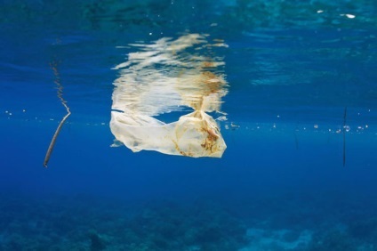Mi okozza a környezetszennyezés (30 fotó) - triniksi