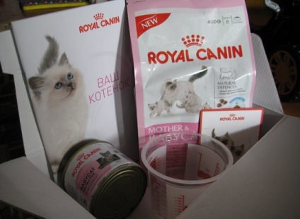 Takarmány Royal Canin Kitten - táplálkozás bármely életkorban