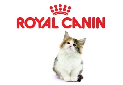Takarmány Royal Canin Kitten - táplálkozás bármely életkorban