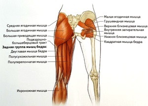 Kezelése piriformis szindróma eltávolítása görcs, különösen a kezelés otthoni