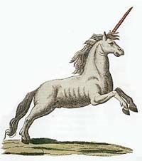 Ló mítoszok legendák, mesék karakter, egy egyszarvú szarvát egyszarvú, pegasus, szárnyas ló, legendák,