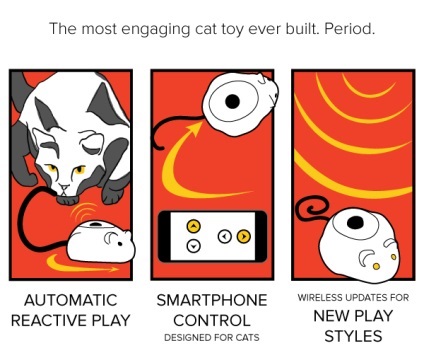 Mousr - a legintelligensebb robot játék macskáknak