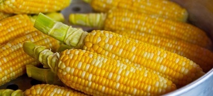 kukorica elvékonyítja a fogyást)