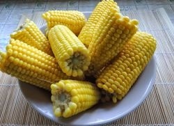 kukorica elvékonyítja a fogyást