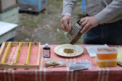 Propolisz tinktúra alkohol, víz, olaj, és az alkalmazás kézikönyv, a népi gyógyászat