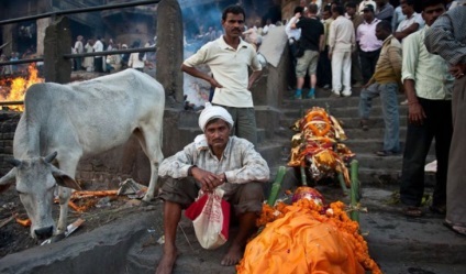 Untouchables 10 tények India legalacsonyabb kaszt - faktrum (faktrum) Untouchables 10 tények India legalacsonyabb kaszt - faktrum
