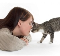 Kellemetlen szag a macska, a szája, a fülek, hogyan lehet megszabadulni a szaga a macska vizelet, macska - kik ők