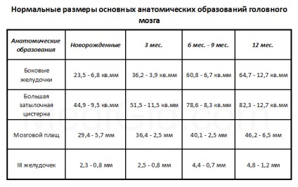 Neurosonography - mi ez az agy NDG, felnőtt, hol a szabályok átirat