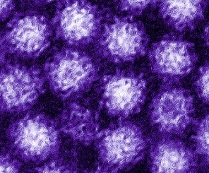 Norovirus tünetek felnőttek és gyerekek a terhesség alatt, a kezelés, megelőzés