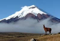 Tierra del Fuego - Dél-Amerika