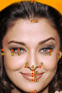 Online számológép ideális arc arányai