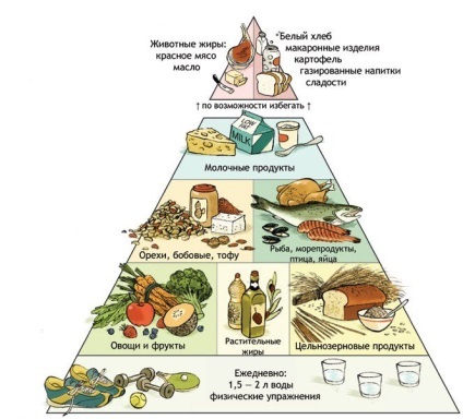 élelmiszer-piramis