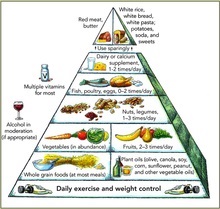 anti aging élelmiszer piramis)