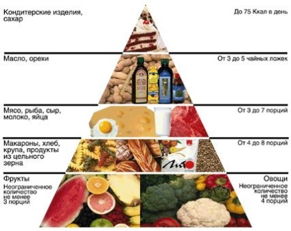 Élelmiszer piramis - hagyományos, mindenevő - élelmiszer