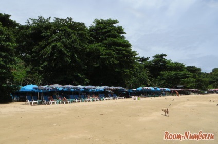 Beach Kozi Bich, Pattaya