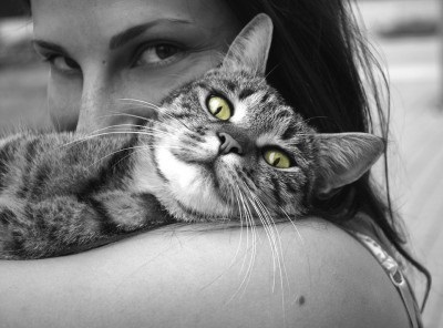 Miért macskák reagál a „cica”, mi mást tud reagálni a macska