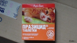 Prazitsid (tabletta) macskák és kiscicák, kutyák és kölykök, vélemények az állati gyógyszerek