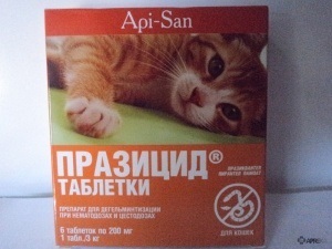 Prazitsid (tabletta) macskák és kiscicák, kutyák és kölykök, vélemények az állati gyógyszerek