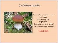 Előadások az óvoda - iskola előtti oktatásban (óvodai közönség ismertetés) Előadások az óvoda - iskola előtti oktatási