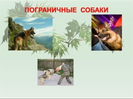 Презентація для уроку - собака - друг людини