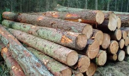 A fa használata az építőiparban