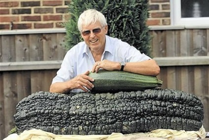Guinness World Records (a legnagyobb világ) Guiness rekordok