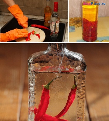 Receptek paprika vodka otthon