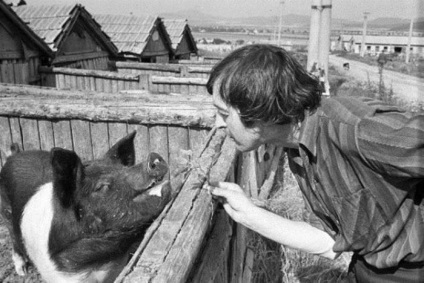 A legszomorúbb bohóc a Szovjetunió és a kedvenc művész Vysotsky egy félreértés a haza a nemzetközi